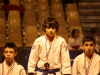 judo-699-100-resolution-de-lecran